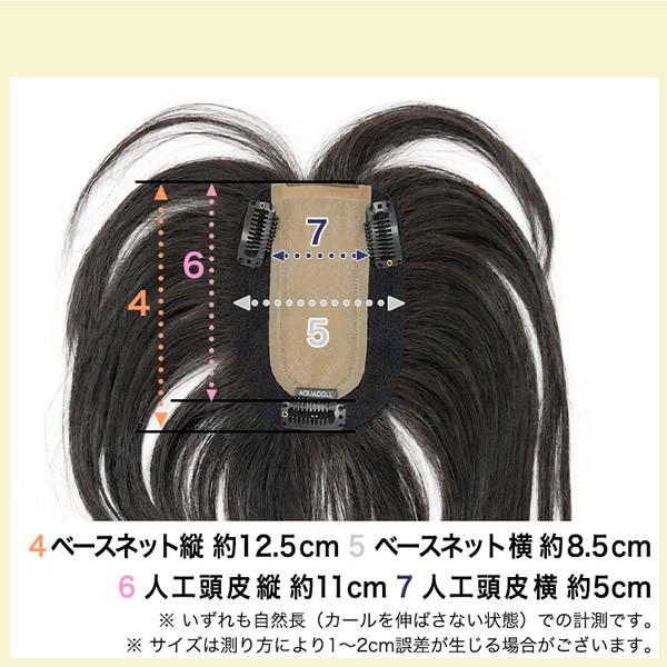 アクアドール 総手植え人毛100%ヘアピース リアルスキン ロングタイプ ahp017 (送料無料) トップピース トップカバー ウイッグ 白髪かくし ボリュームアップの画像