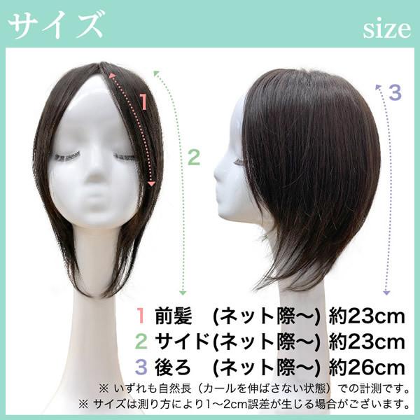 AQUADOLL（アクアドール） 総手植え人毛MIXヘアピース ワイドリアル 