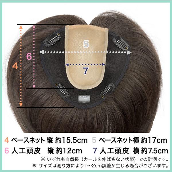 AQUADOLL（アクアドール） 総手植え人毛MIXヘアピース ワイドリアル 
