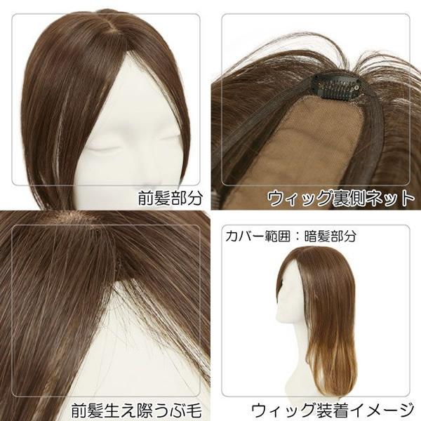 プリシラ プレミアム白髪隠しウィッグ (ワンレンロングタイプ) ST-011