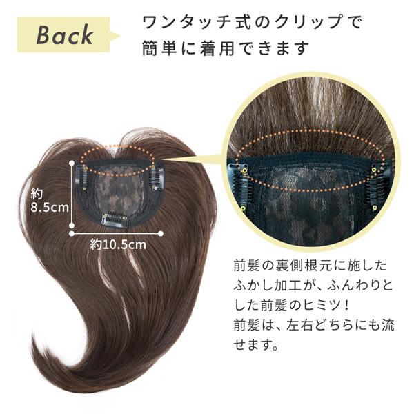 AQUADOLL アクアドール つむじ付き流しバング wgt811 (全国一律