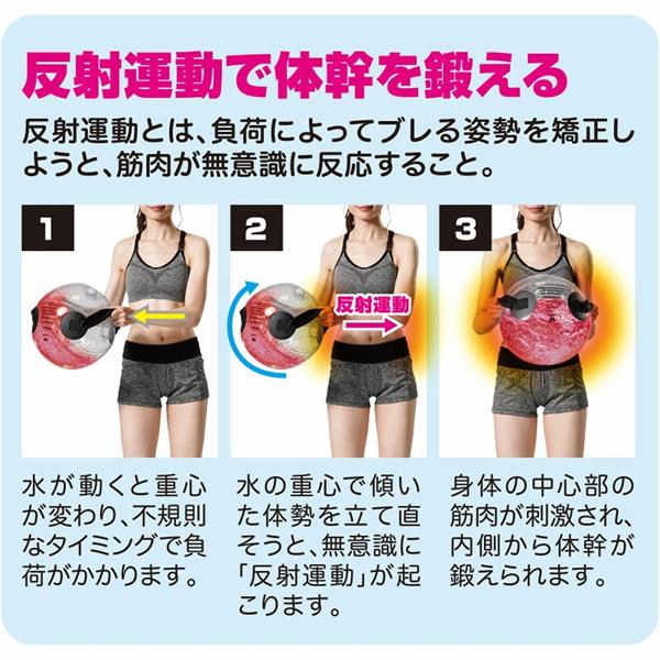 体幹エクサウォーターダンベル 送料無料 ダンベル 筋トレ 反射運動 体幹 筋肉 トレーニング 負荷 水ダンベル 男性用 女性用 足腰 ウエスト 背筋 008 44 キャンディコムウェア 通販 Yahoo ショッピング
