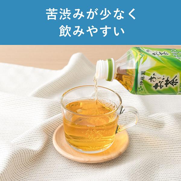 リニューアル 特定保健用食品 伊藤園 お〜いお茶 カテキン緑茶 PET 500ml×48本 (24本×2ケース) (送料無料) トクホ 特保 ガレート型 カテキン コレステロール｜candy｜04