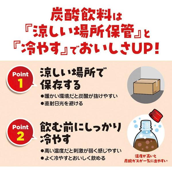 Coca Cola（コカコーラ） コカコーラ社 小型ペット×48本(24本×2ケース