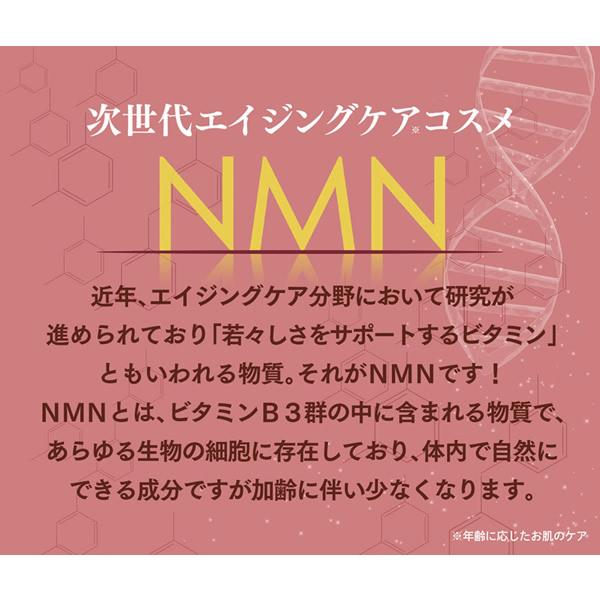 NMN エンリッチ クリーム 50g (全国一律送料無料) ニコチンアミドモノヌクレオチド ヒト脂肪細胞順化培養液エキス 基礎化粧品 クリーム エヌエムエヌ | ブランド登録なし | 03