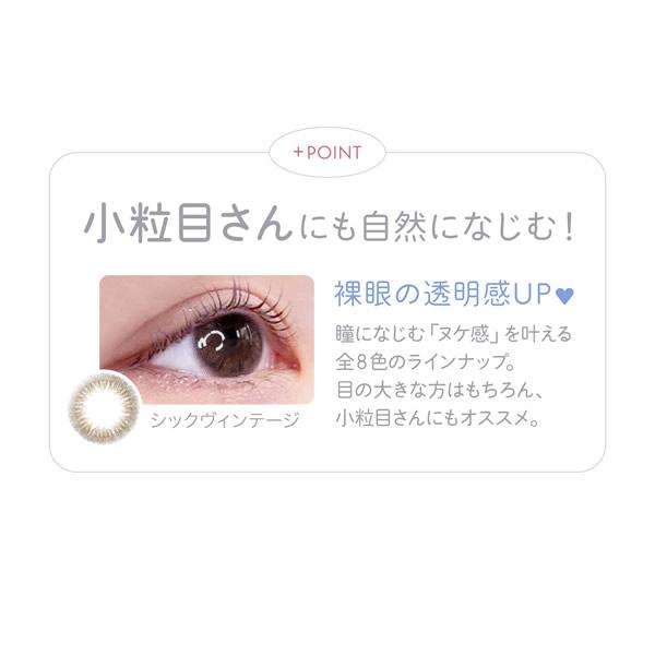 カラコン ワンデー わかな レリッシュ 1箱10枚 (メール便送料無料) | アイセイ | 04