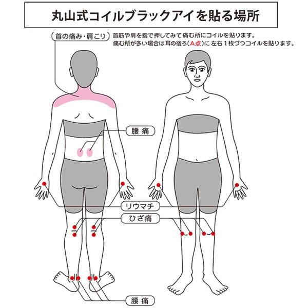 電磁波 対策 丸山式コイル ブラックアイ 50個 (送料無料) 丸山修寛先生監修 炭コイル 電磁波 対策 防止 丸山式コイル ブラックアイ ブロック ブロッカー | unica | 03