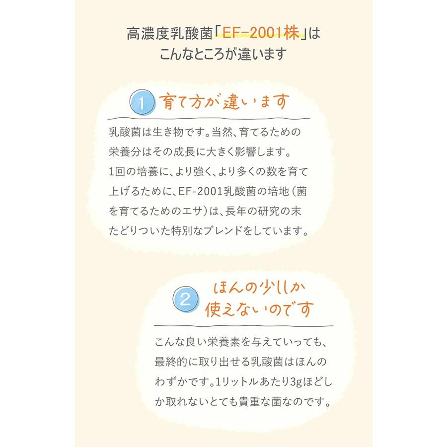 Dr.ベルムア EF-2001 乳酸球菌含有食品 (送料無料) 高濃度乳酸菌