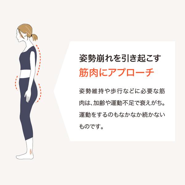 ワイドスクワットホッパー (送料無料) スクワット 筋トレ エクササイズ