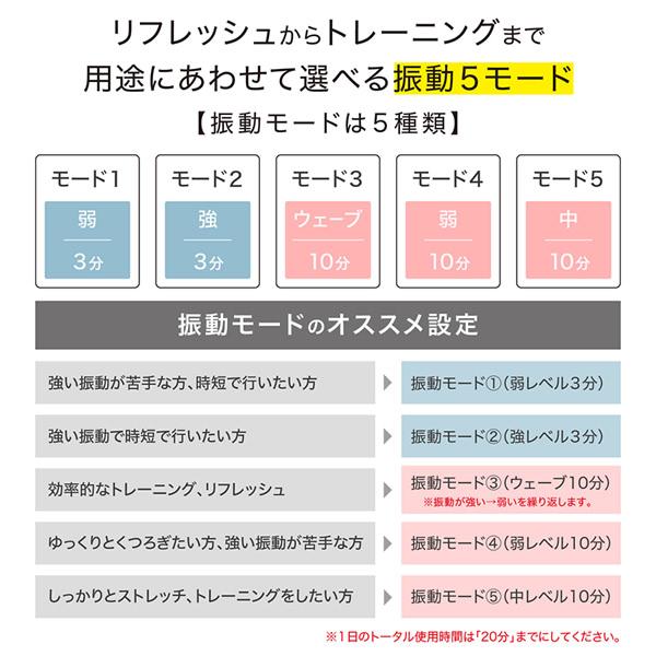 PROIDEA（プロイデア） ストレッチパートナー ハグスフィア (送料無料