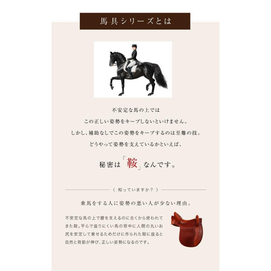 馬具マットプレミアムアドバンス (送料無料) 骨盤 姿勢 補正 猫背 ダイエット スリム 椅子 マット クッション 馬具 自宅 オフィス 敬老の日 誕生日 | ブランド登録なし | 02