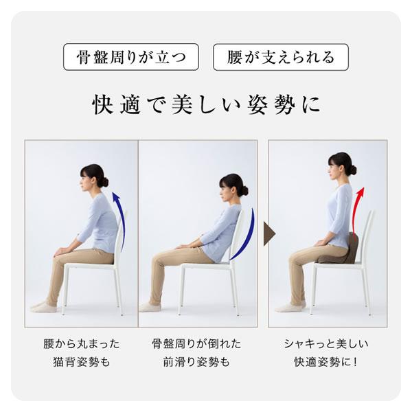 馬具マットプレミアムアドバンス (送料無料) 骨盤 姿勢 補正 猫背 ダイエット スリム 椅子 マット クッション 馬具 自宅 オフィス 敬老の日 誕生日 | ブランド登録なし | 07