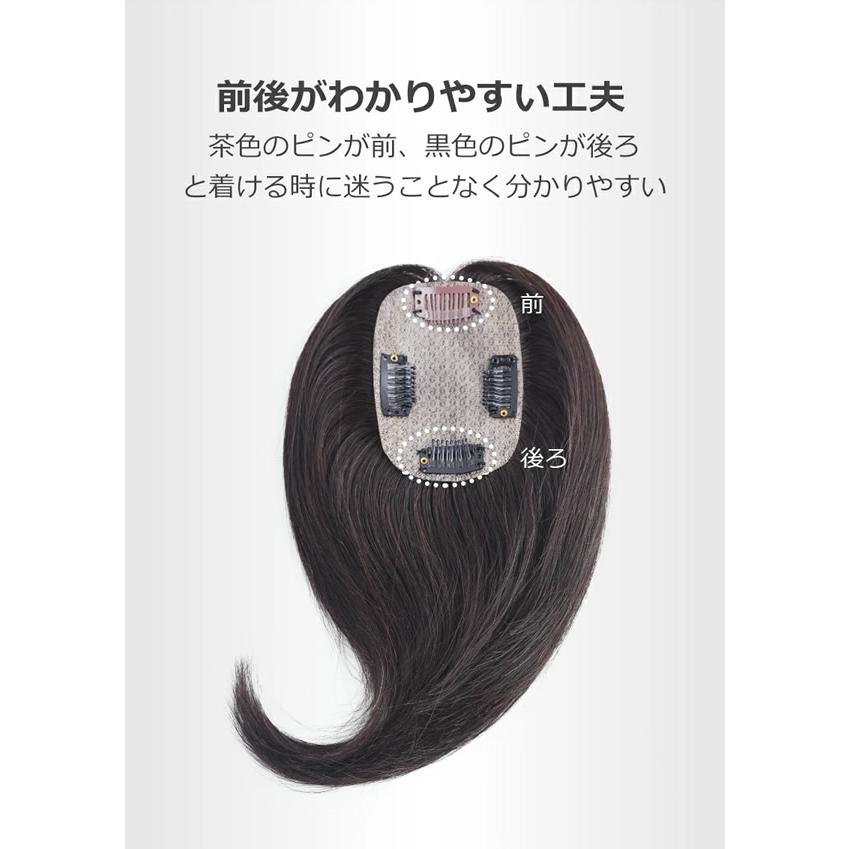 私元気 人毛 3Dポイントウィッグ 20cm BAZF710-20 (送料無料) 部分