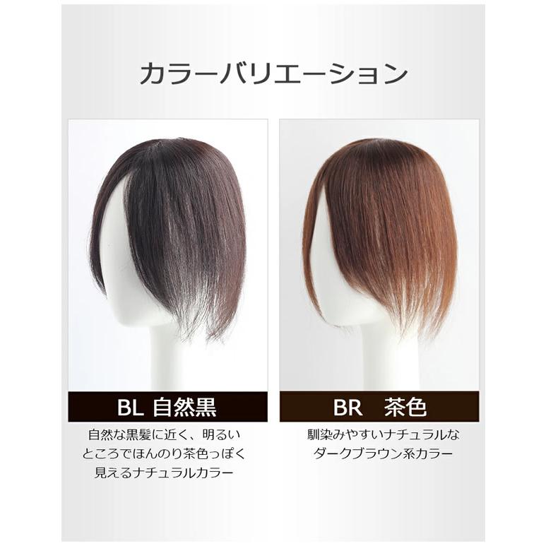 私元気 人毛 部分ウィッグ BHADS812-25 BL 自然黒 (送料無料) ポイント