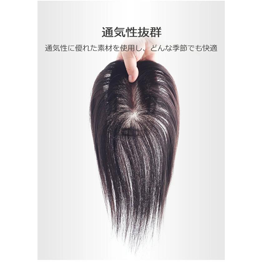 私元気 人毛 部分ウィッグ BHADS812-25 BL 自然黒 (送料無料) ポイント