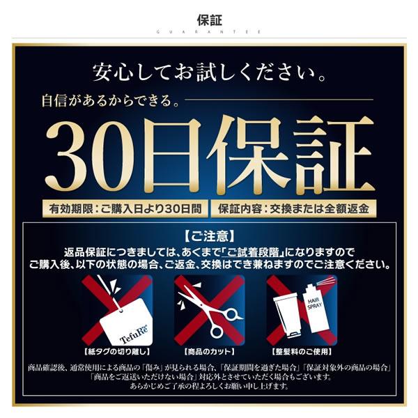 TefuRe（テフリ） 男性用ウィッグ スマートショート [DS-PTMEN-M10