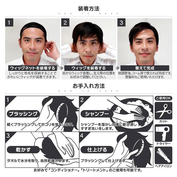 TefuRe（テフリ） 男性用ウィッグ スマートショート [DS-PTMEN-M10