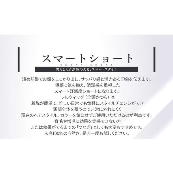 TefuRe（テフリ） 男性用ウィッグ スマートショート [DS-PTMEN-M10