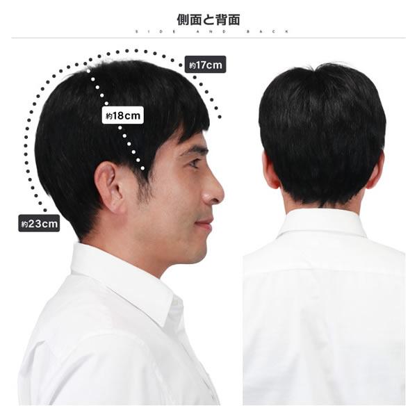 TefuRe（テフリ） 男性用ウィッグ スマートショート [DS-PTMEN-M10