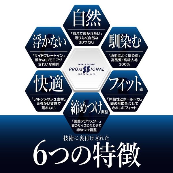 TefuRe（テフリ） 男性用ウィッグ スマートショート [DS-PTMEN-M10