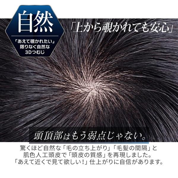 TefuRe（テフリ） 男性用ウィッグ スマートショート [DS-PTMEN-M10