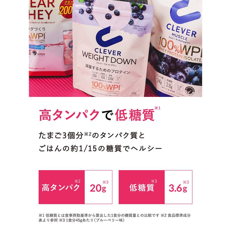 CLEVER（クレバー） ウエイトダウン WPI ホエイプロテイン 315g