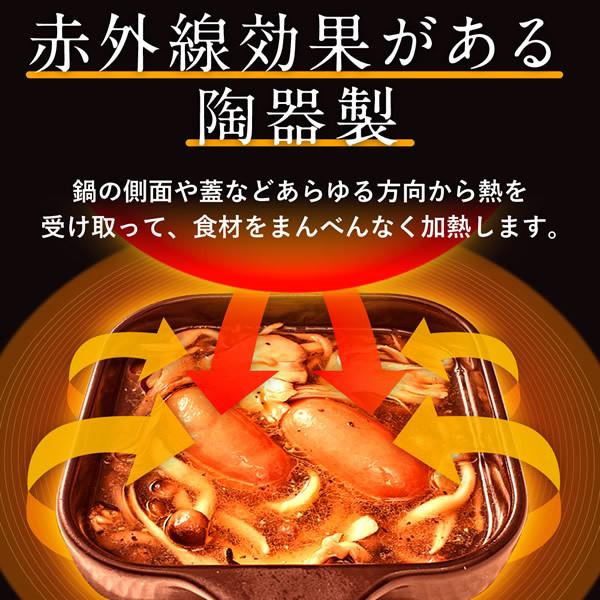 リュウジの万能スキレット リュウジ監修レシピブック付 (送料無料