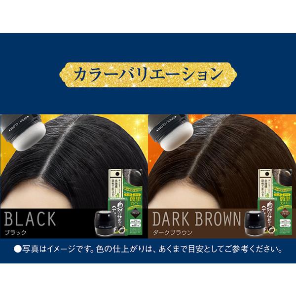 ブレーンコスモス 薄毛 白髪 隠し 自然に仕上がるヘアファンデーション