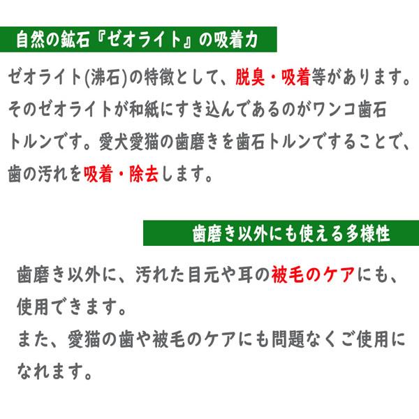 おトク情報がいっぱい! 茶谷産業 Seasonal Scenery ポプリ Autumn forest 730-202 茶谷産業 Seasonal Scenery ポプリ Autumn forest 730-202