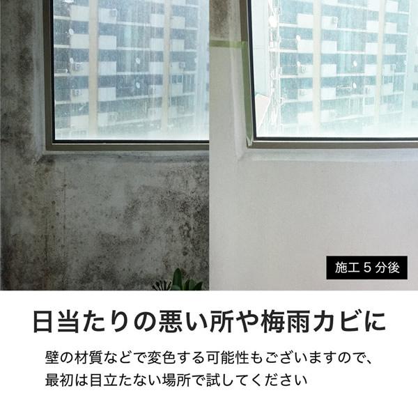 モールドゼロ 500ml (送料無料) カビ取り剤 Mold ZERO カビ 強力 除去 業務用 建築現場 木材 浴室 お風呂 排水口 洗面所 キッチン タイル 目地 台所｜candy｜06