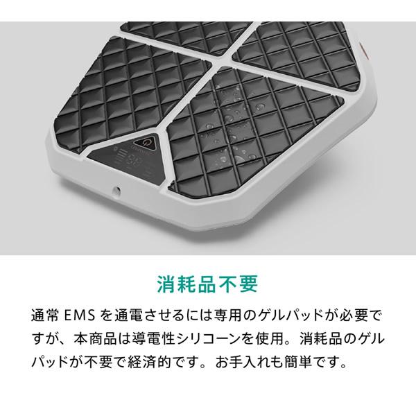 スリムパッド レグネス (送料無料) EMS 筋トレ ダイエット トレーニング 器具 足 脚 美脚 下半身 運動 EMSマシン 家庭用 運動不足 解消 自宅 室内 母の日 父の日｜candy｜09