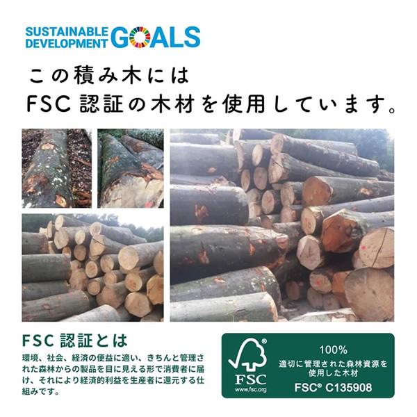 ココロの積み木 ストーン (全国一律送料無料) 積み木 積み石 木製 ウッドブロック 脳トレ こころのつみき 素朴 木育 知育玩具 ギフト おもちゃ 玩具 | ブランド登録なし | 09