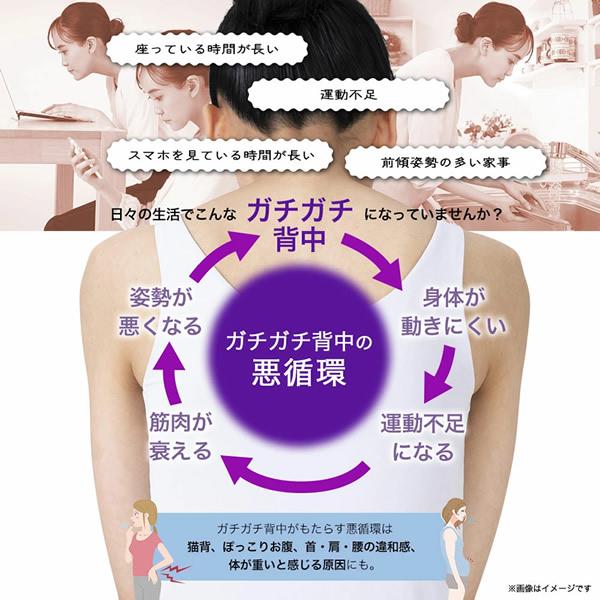 正規販売店 岩崎恭子プロデュース Breast Top パーフェクト