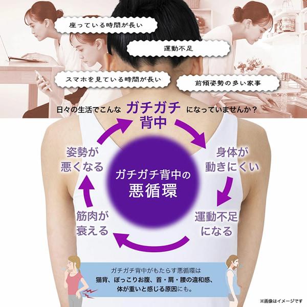 正規販売店 岩崎恭子プロデュース Breast Top パーフェクトローラー 選べるおまけ付き (送料無料) 筋膜リリース ストレッチ 筋トレ エクササイズ 振動 | ブランド登録なし | 02