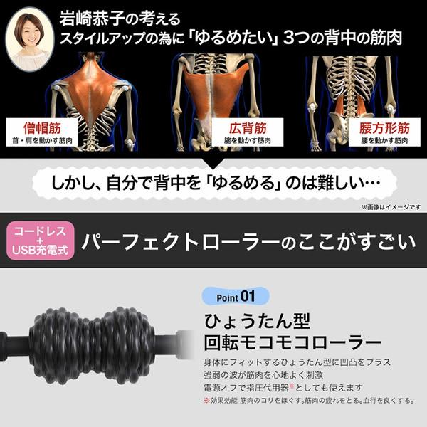 正規販売店 岩崎恭子プロデュース Breast Top パーフェクト
