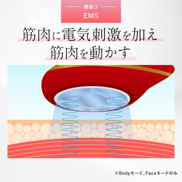 セルクラッシュCAVI 正規品/一年保証 選べるおまけ付き (送料無料