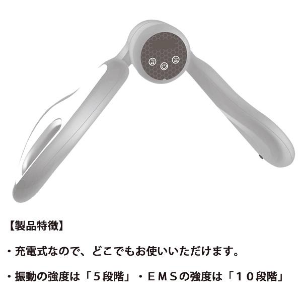 フィットライフ 選べるおまけ付き LIFE FIT ライフフィット Vトレ