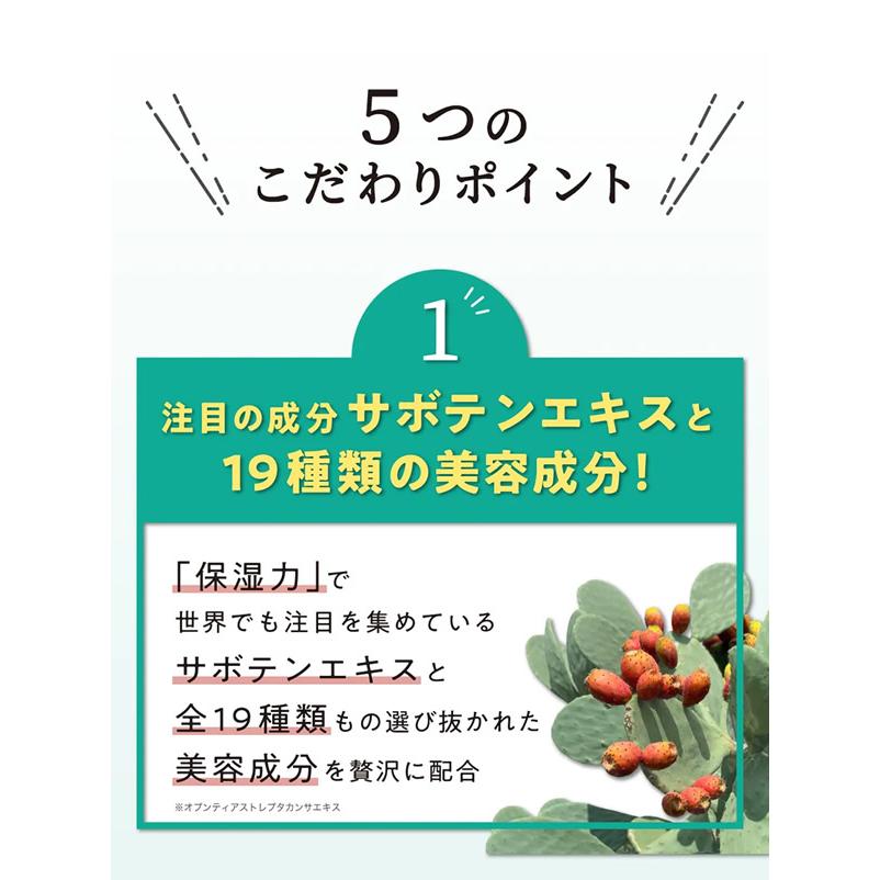 選べるおまけ付き nopa マイベストカラーファンデーション 40g (メール