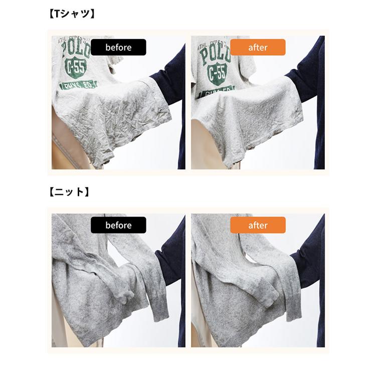 スチームワードローブ Relicia レリシア (送料無料) スチーム