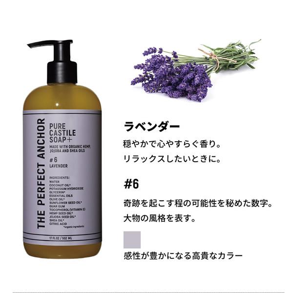 ザ・パーフェクトアンカー ピュアカスチールソープ プラス 502ml (送料無料) オーガニックソープ ボディーソープ クレンジング 洗顔 | ザ・パーフェクトアンカー | 10