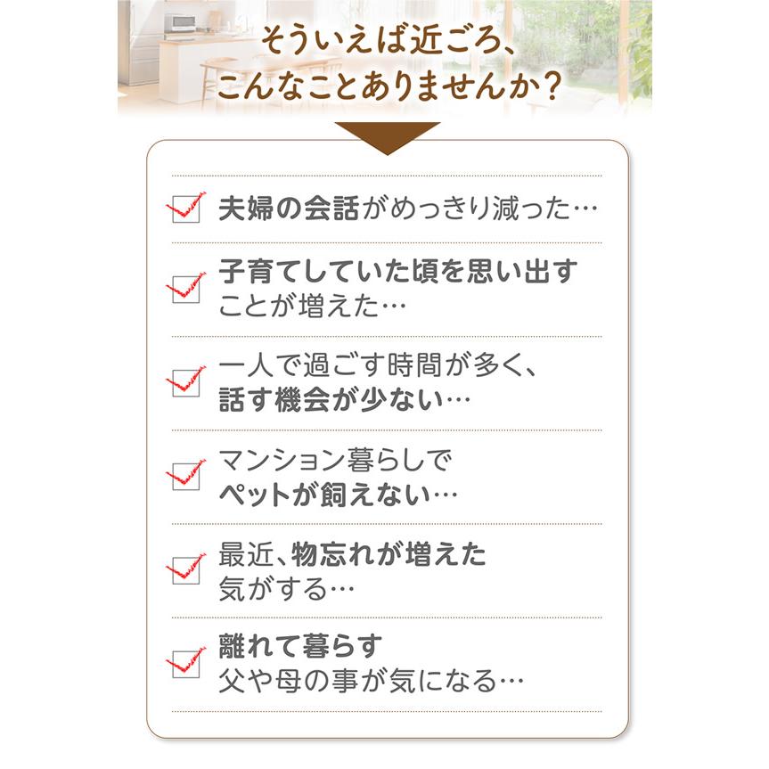 ギフト用ラッピング無料 音声認識人形 スマイルけんちゃん (送料無料) しゃべる ぬいぐるみ 人形 喋る人形 会話ロボット おもちゃ 癒し 母の日 父の日 敬老の日 | ブランド登録なし | 01