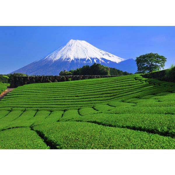 お茶屋さんが作った想茶石鹸 泡立てネット付き (メール便送料無料) 洗顔 メイク落とし スキンケア 緑茶 洗浄 想茶石鹸 ソープ ミネラル カテキン サポニン | ブランド登録なし | 05