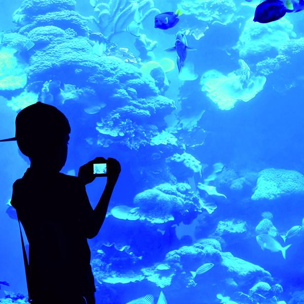 キッズカメラ (送料無料) 子供用カメラ 連続撮影 自撮り ビデオ録画 動画 ゲーム付き 多機能型 充電機能 USB プレゼント ギフト 誕生日 クリスマス | ブランド登録なし | 05