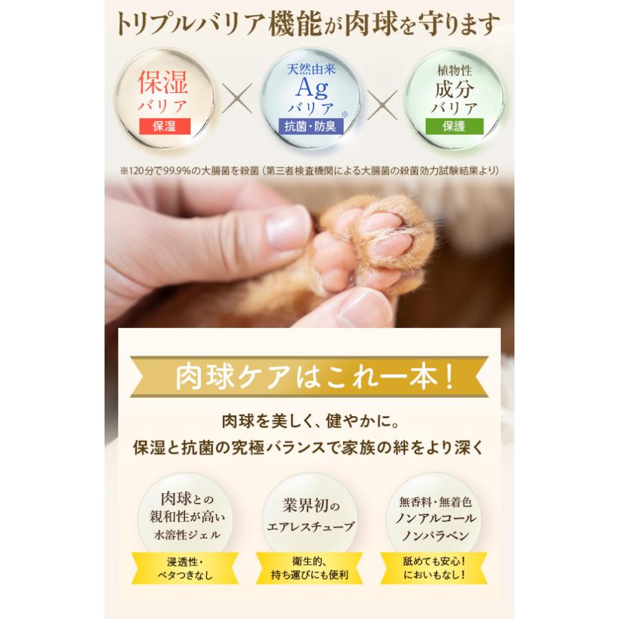 トリプルAヘナ・パウケアジェル犬猫用　肉球ケア 肉球 パウ ケアジェル 30g (メール便送料無料) 肉球ケア 保護