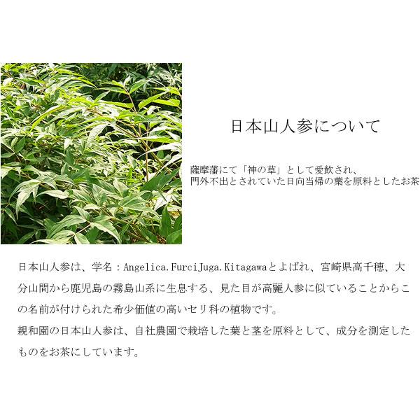 日本山人参茶 (メール便送料無料) 親和園 ティーバッグ 健康 お湯出し