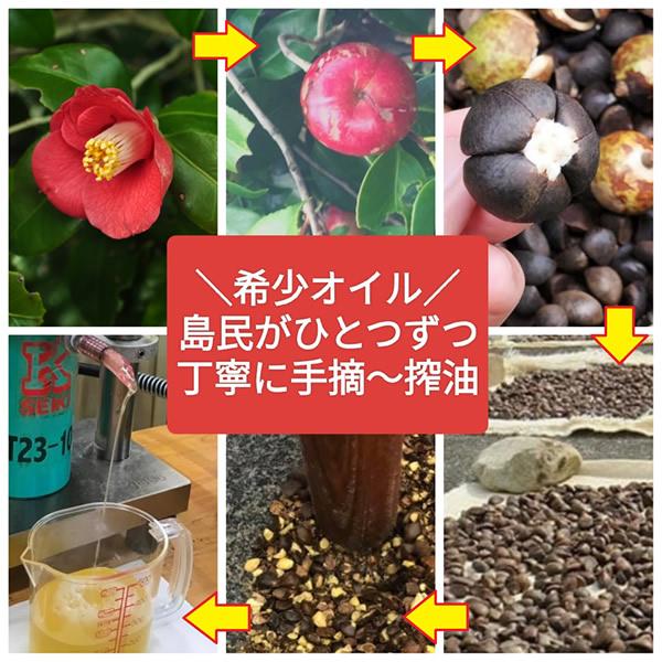 新発売＞髪五島 二層式ヘアオイルミスト 60ml (メール便送料無料