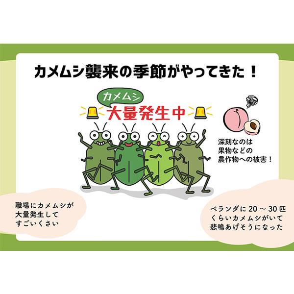 カメムシ 御免! (メール便送料無料) 忌避剤 カメムシ対策 カメムシ除け