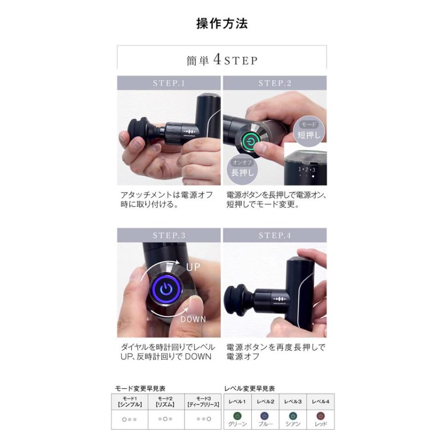 選べるおまけ付き WAVE Fascial Release Gun Mirai フェイシャル