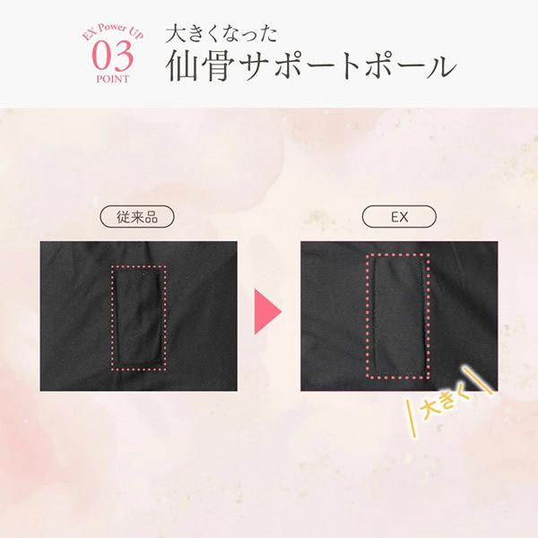 選べるおまけ付き 正規販売店/1年保証 骨盤ストレッチエアーベルトEX (送料無料) 骨盤補正 ストレッチ エアーベルト 加圧トレーニング 温活 骨盤ケア 美姿勢 | ブランド登録なし | 11