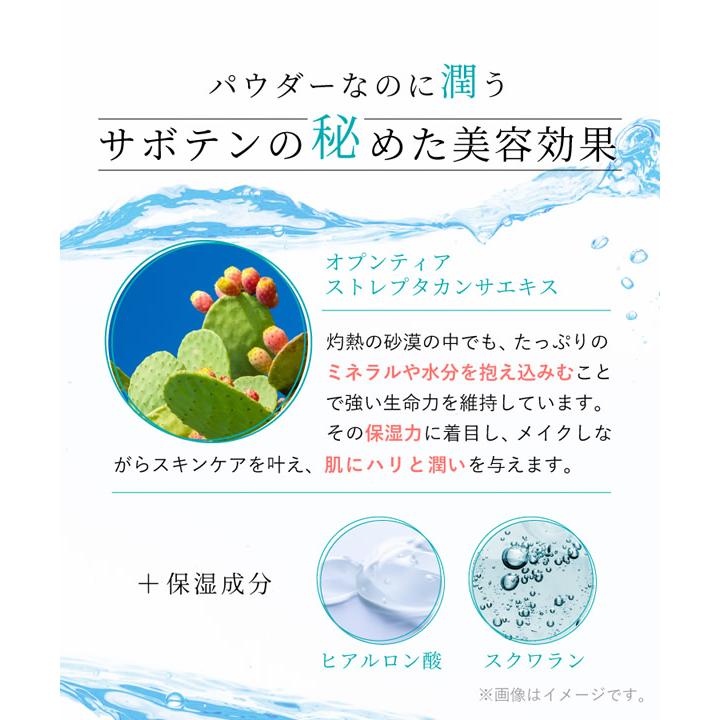 nopa ルースパウダー 8g (全国一律送料無料) ノパ パウダー メイク崩れ 毛穴 くすみ コントロールカラー サボテン 人気 コスメ ギフト プレゼント | ブランド登録なし | 06